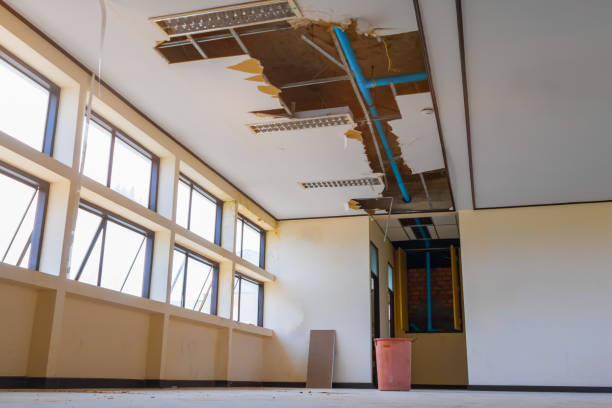  Lamoni, IA Water damage restoration Pros