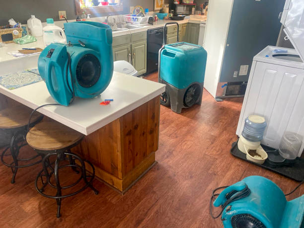 Best Water damage restoration near me  in Lamoni, IA
