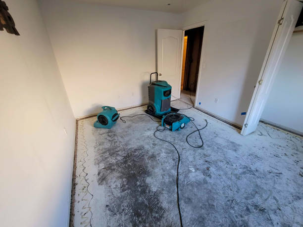 Best Flooded house restoration  in Lamoni, IA