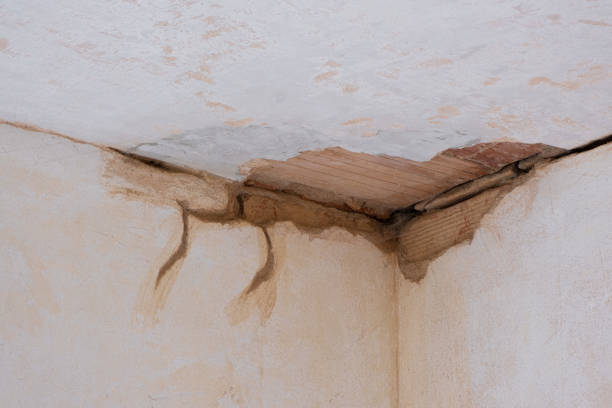 Best Residential water damage restoration  in Lamoni, IA
