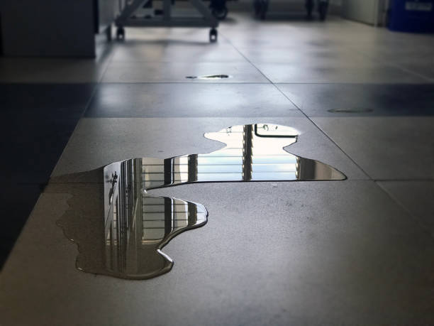 Best Water damage restoration experts  in Lamoni, IA
