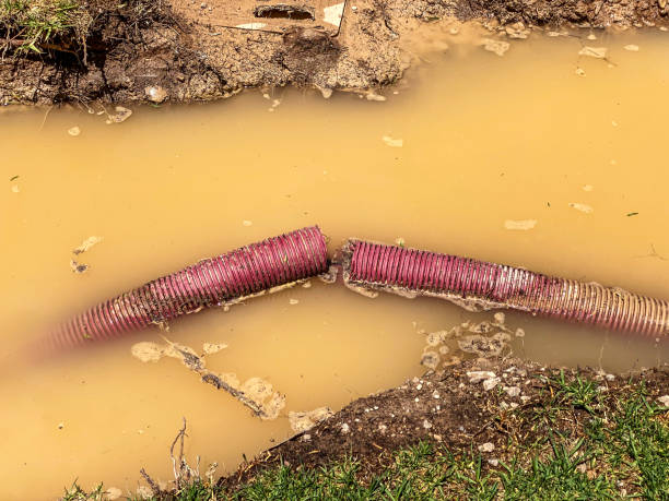 Best Water damage restoration near me  in Lamoni, IA