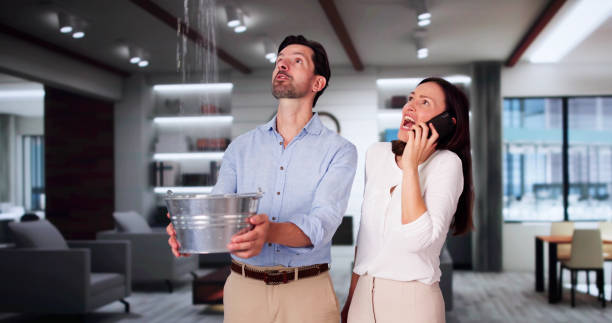 Best Basement water damage restoration  in Lamoni, IA