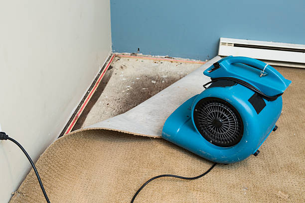 Best Ceiling water damage repair  in Lamoni, IA